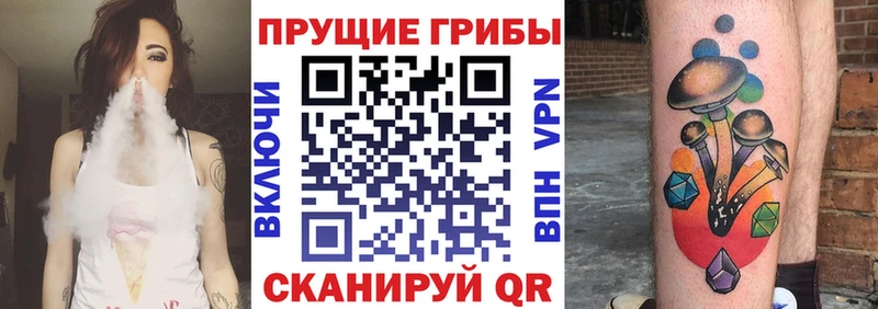 Галлюциногенные грибы Psilocybe Ардон
