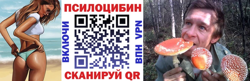 Купить  Ардон  Галлюциногенные грибы Psilocybe 